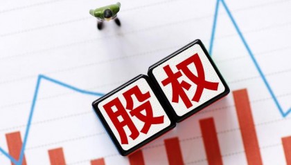 股权和股份哪个重要(股权和股份的区别 说白一点)