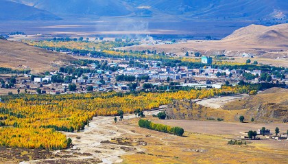 西藏的金珠属于哪个县(西藏金珠雅砻藏药有限责任公司)