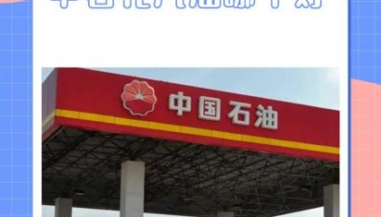 宝洁和中石化哪个好(宝洁好吗)