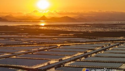 渔光互补哪个省份用好(渔光互补能提高渔业产量吗)