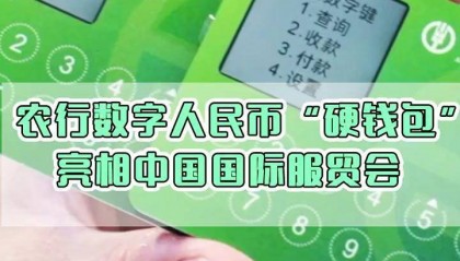 数字货币钱包是什么(数字货币钱包可靠吗)