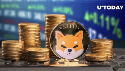 shiba价格(shiba价格预测 海绵进化论)