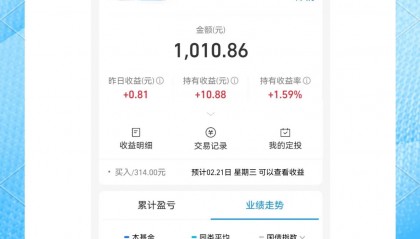 哪个债券基收益更高(收益好的十大债券基金2021)