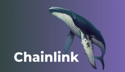 chainlink(ChainLink公司简介)