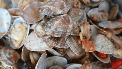 冰钱是什么(冰是什么秒懂百科)