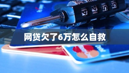 哪个网贷是官网(哪个网贷是官网正规的)