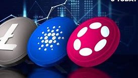 波卡币官网(波卡币sgb)