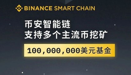 包含币安icp的词条