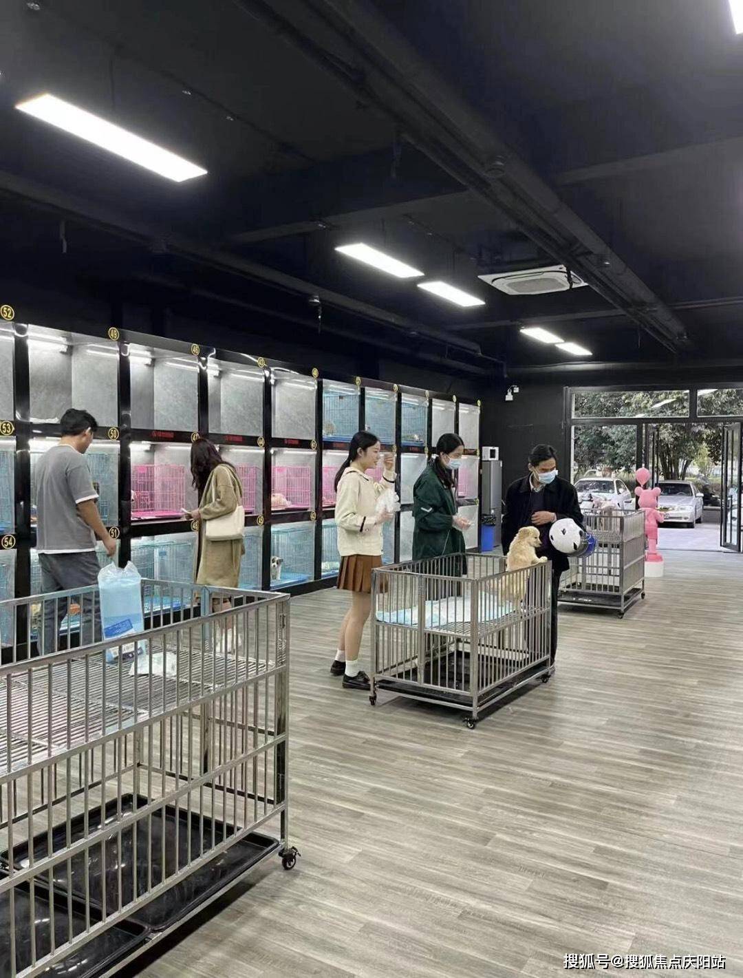 艾达币在哪里买(艾达币在哪里交易) 艾达币在哪里买(艾达币在哪里交易)