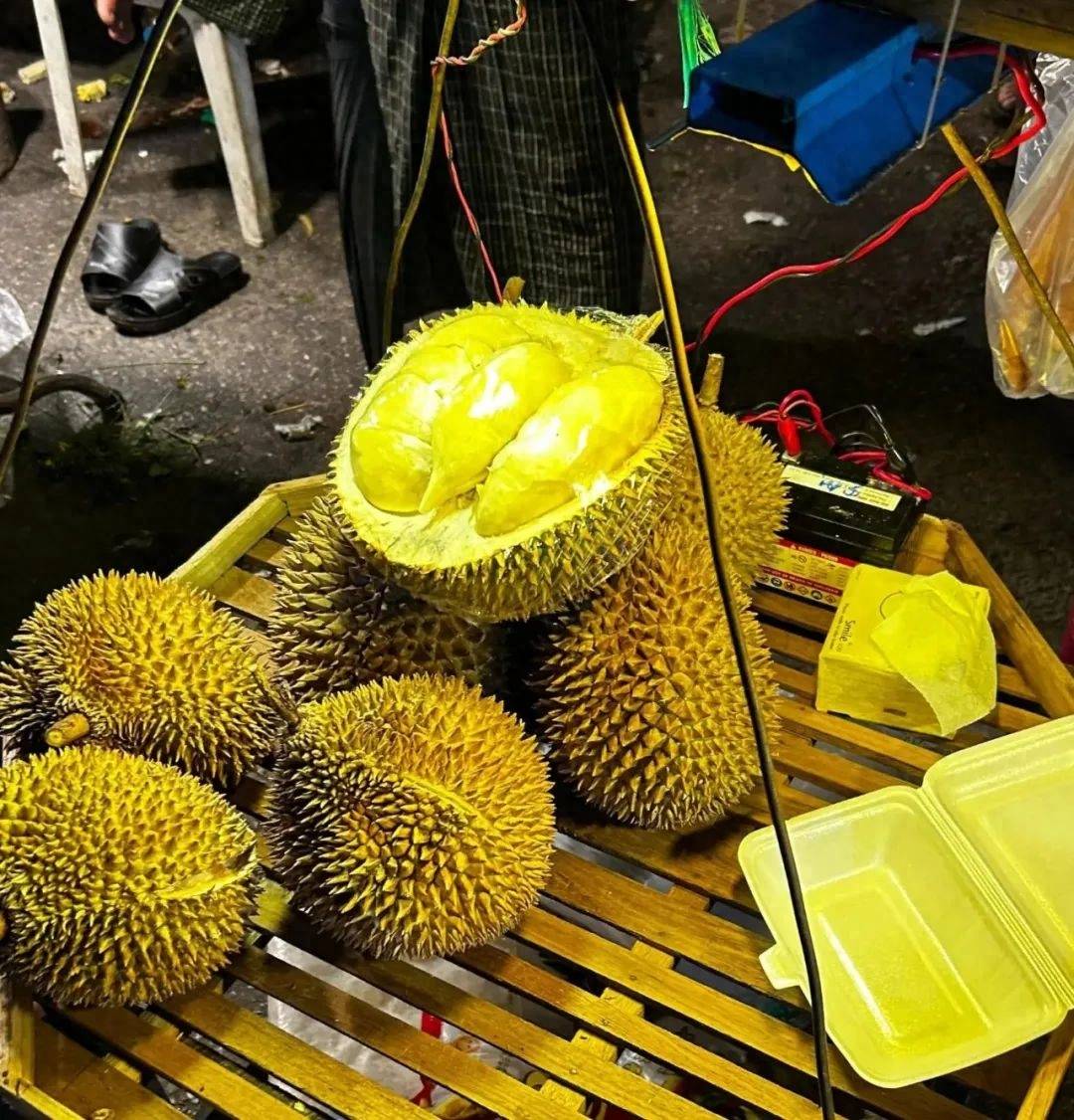 数字货币榴莲币(马来西亚榴莲币) 数字货币榴莲币(马来西亚榴莲币)