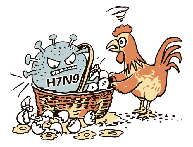 禽流感哪个国家最严重(那里有禽流感) 禽流感哪个国家最严重(那里有禽流感)