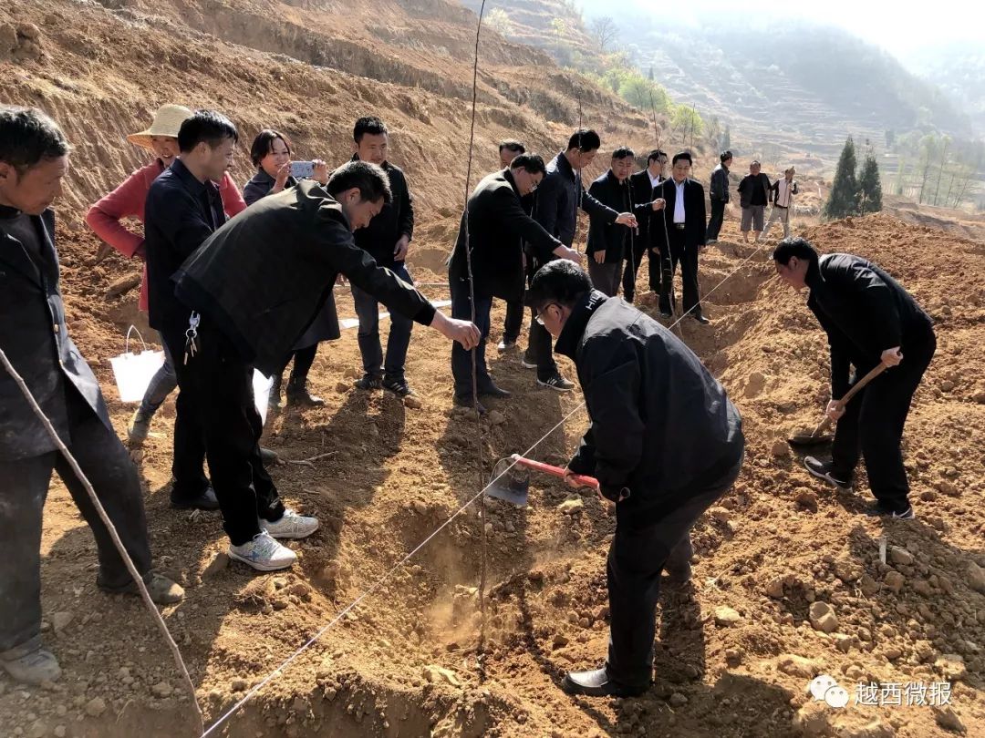 华阳航盛质量哪个好(华阳航运集团是干嘛的) 华阳航盛质量哪个好(华阳航运集团是干嘛的)