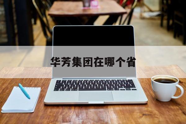 华芳集团在哪个省(华芳集团现在在哪里)