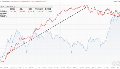 成长风格基金哪个好(长盛成长价值基金怎么买)