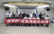 梧桐树是哪个公司(梧桐树计划有哪些企业)