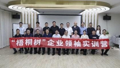 梧桐树是哪个公司(梧桐树计划有哪些企业)