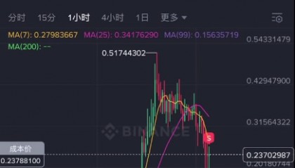 币安币价格指数(币安币价格今日行情走势图)