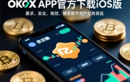 数字币交易所app(数字币交易所APP怎么下载)