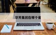 华芳集团在哪个省(华芳集团现在在哪里)