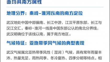 武汉洪城属于哪个区(武汉洪城属于哪个区域)